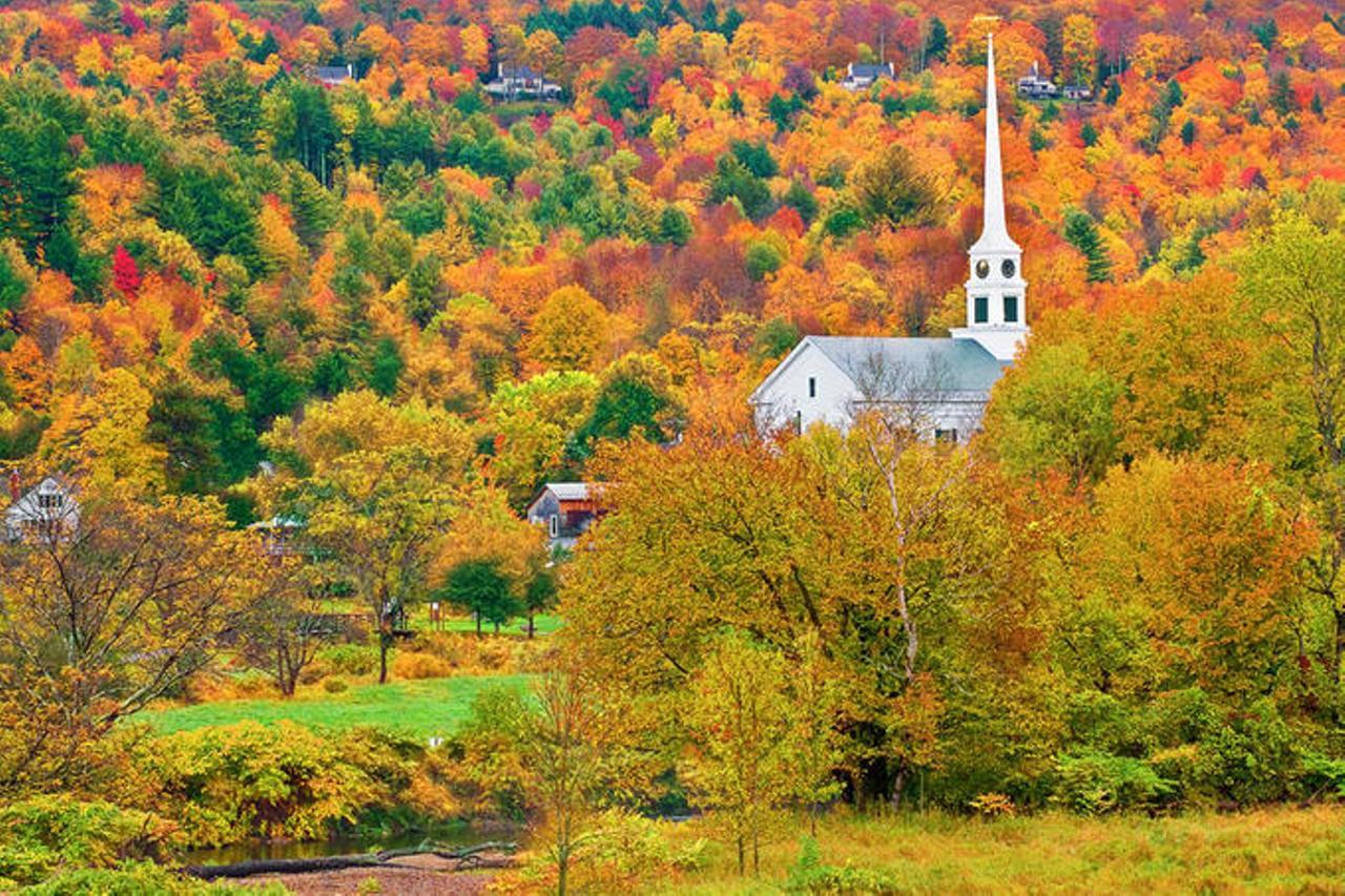 Arlington Arcady At The Sunderland Lodge المظهر الخارجي الصورة